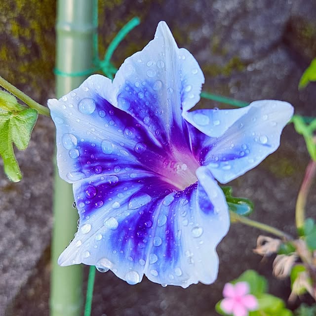 mocomocoさんの実例写真