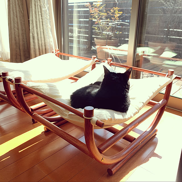 mameazさんの実例写真