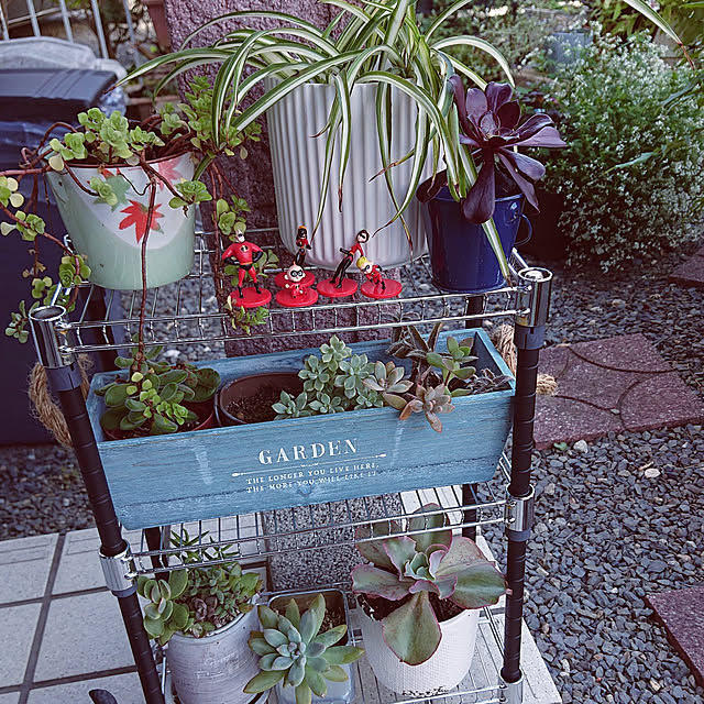 taeko0779さんの実例写真