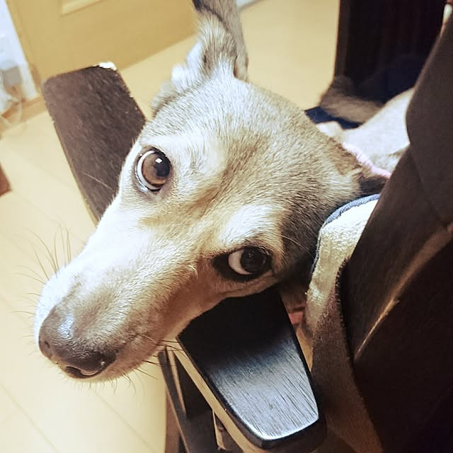 andさんの実例写真