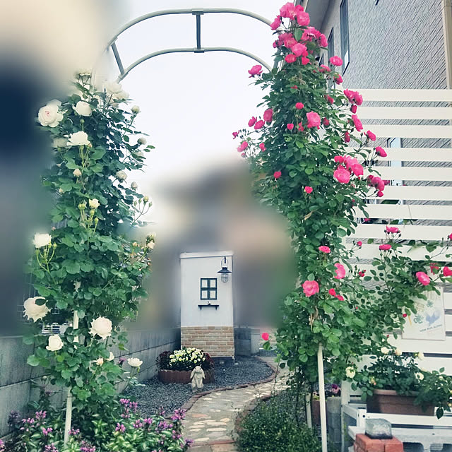 nukkoさんの実例写真