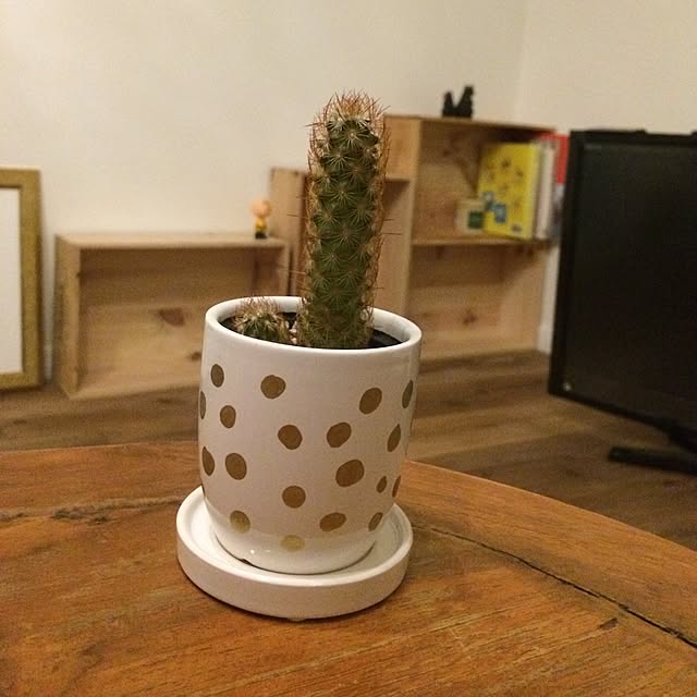 mimiさんの実例写真
