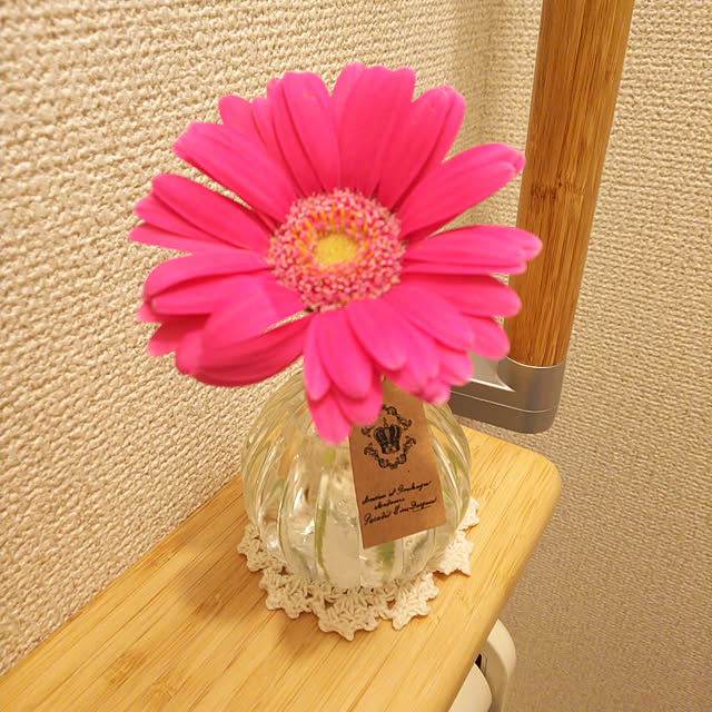 miyukiさんの実例写真