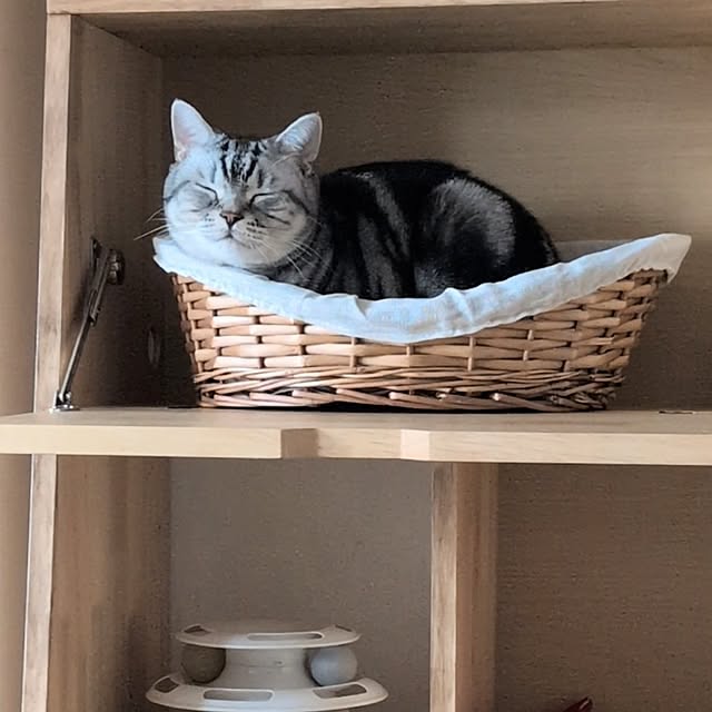 lovepeaceさんの部屋