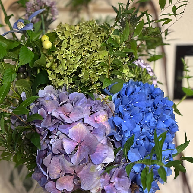 t_n.homeさんの部屋