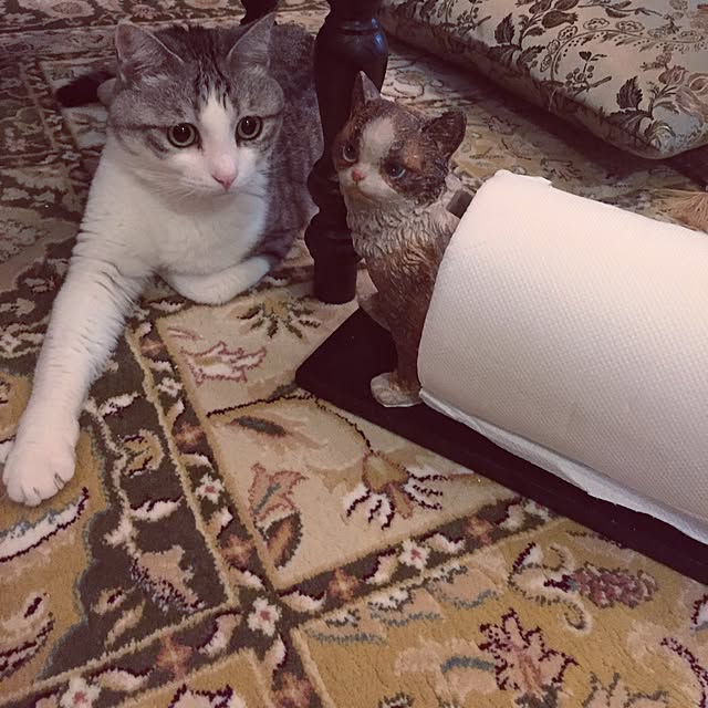 emmyyさんの実例写真