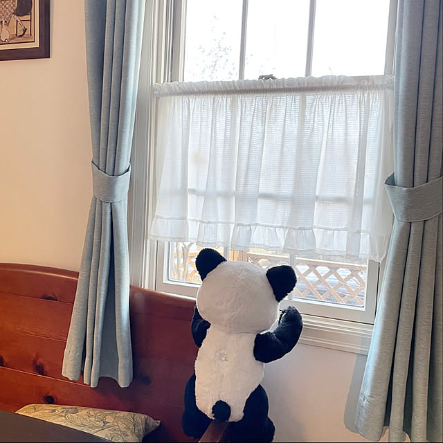 ayumiさんの実例写真