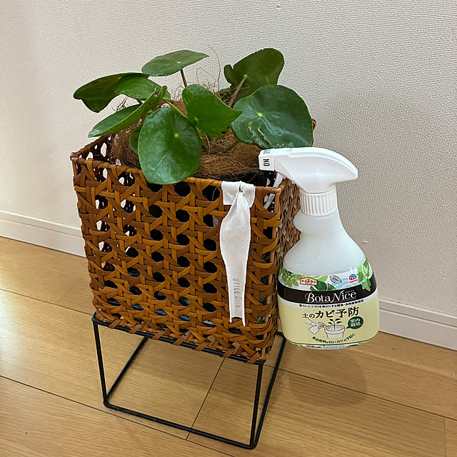 dmamaさんの部屋