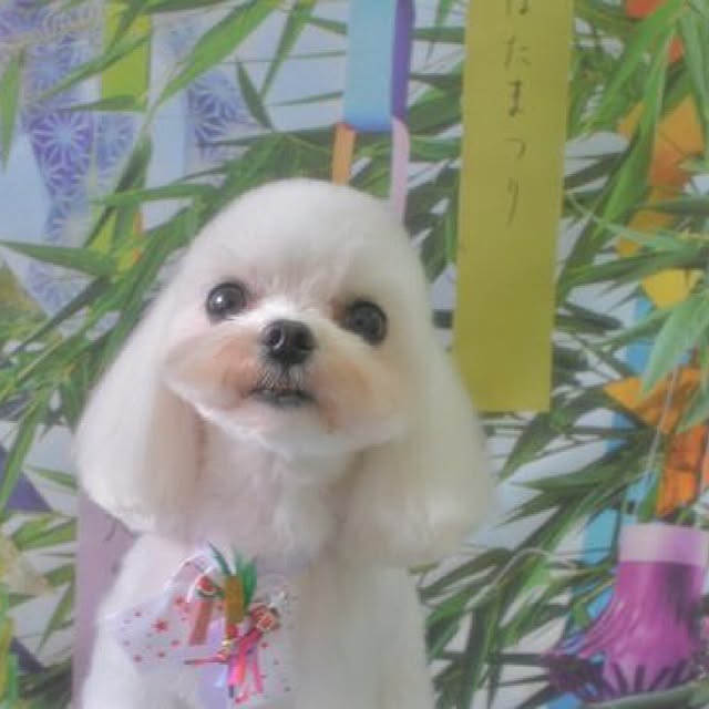 Minamiさんの実例写真
