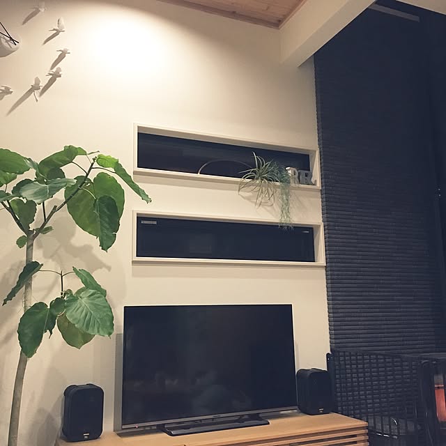 tmeoさんの実例写真