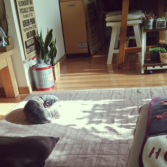 satominさんの実例写真