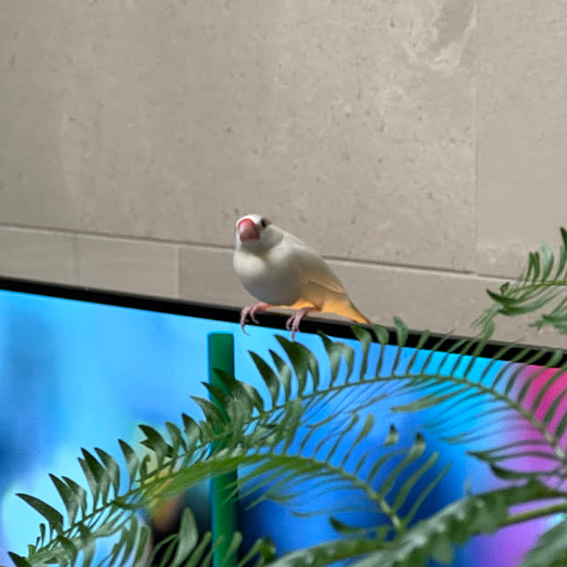 Tenさんの部屋