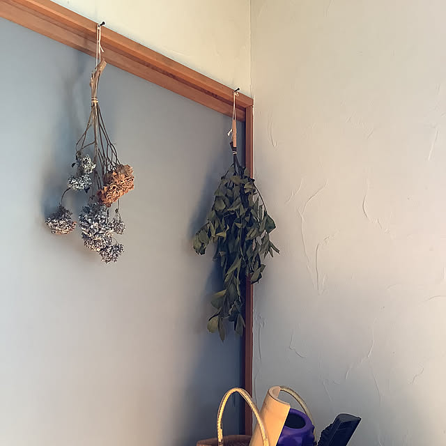 Ns_homeさんの部屋
