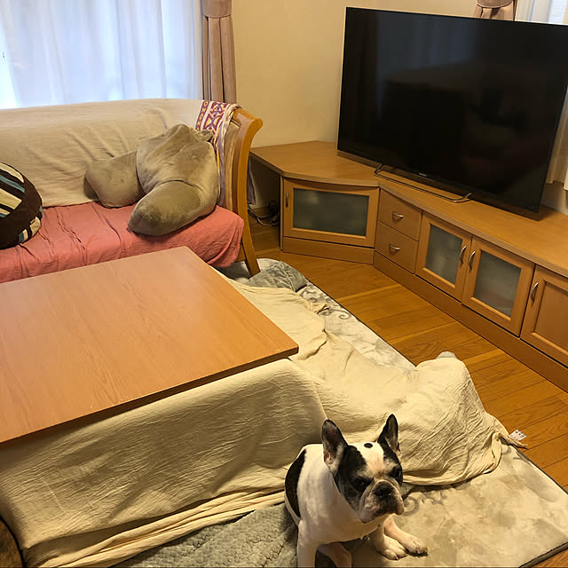 chi_gogaさんの実例写真