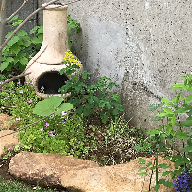 Mugiさんの実例写真