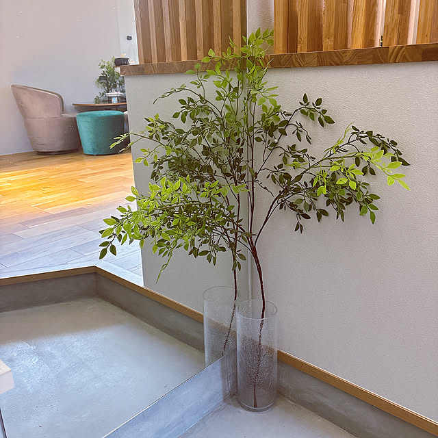 tomatoさんの部屋