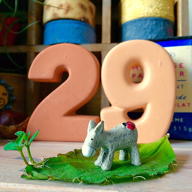 reo29さんの実例写真