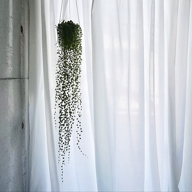 marchさんの実例写真