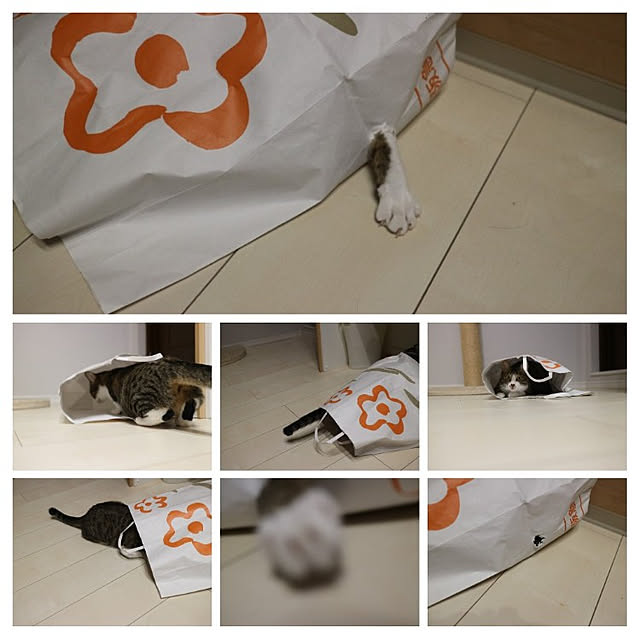 hanacocoさんの実例写真