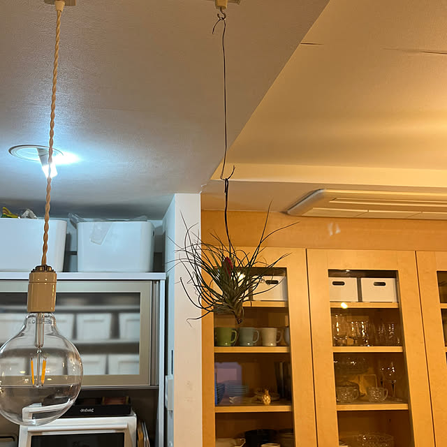 Appleさんの部屋