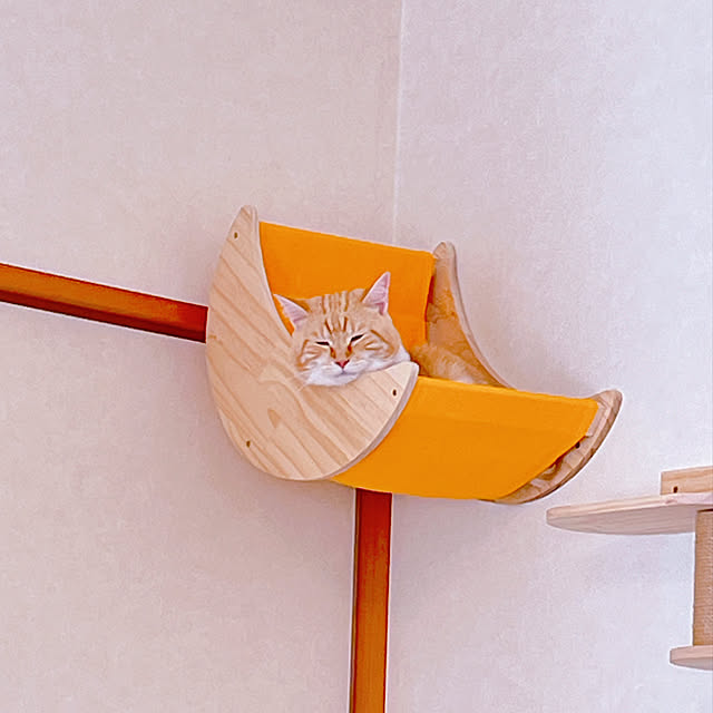 moolさんの部屋
