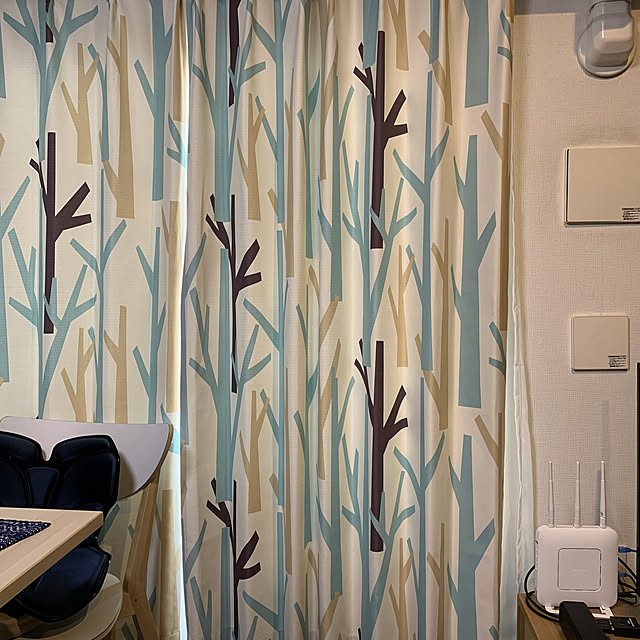 polidogさんの実例写真