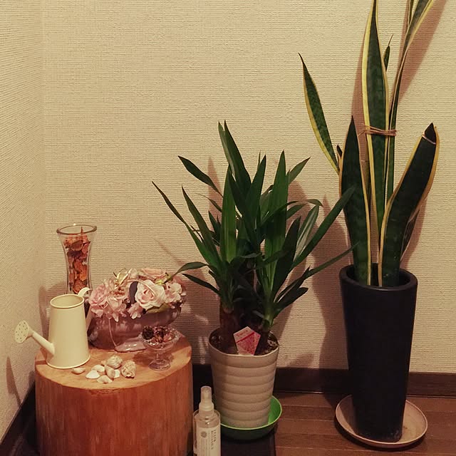 coldernessさんの実例写真
