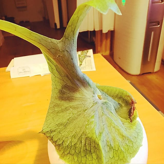 HECTさんの実例写真