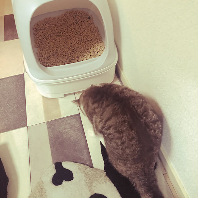 Aggieさんの実例写真