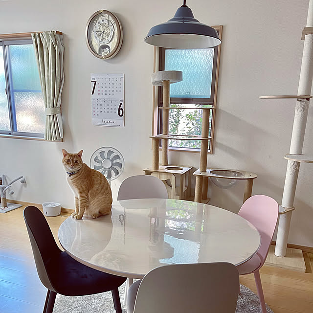 chiiさんの部屋