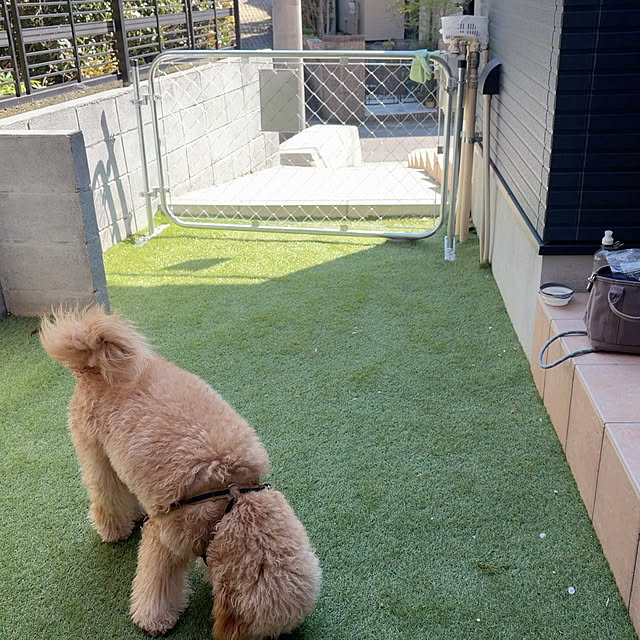 temayutomaさんの部屋