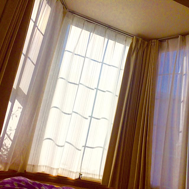 pinさんの実例写真