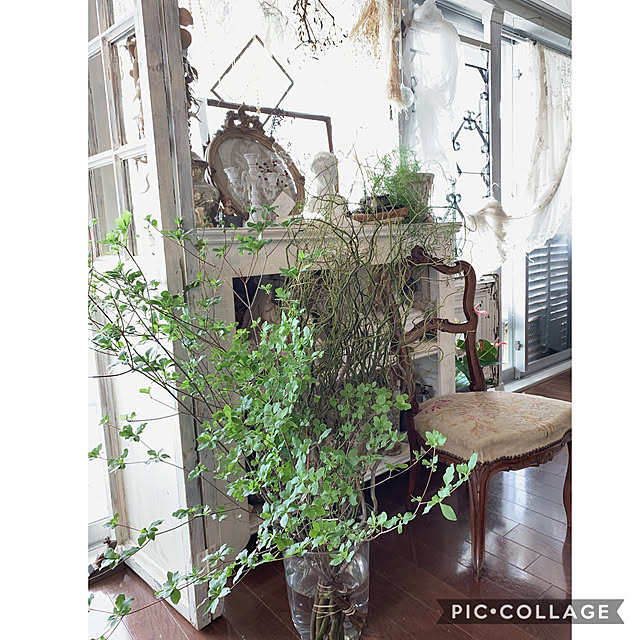 Rinrinfrenchさんの実例写真