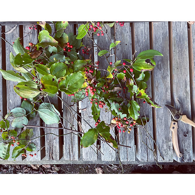 marucoさんの部屋