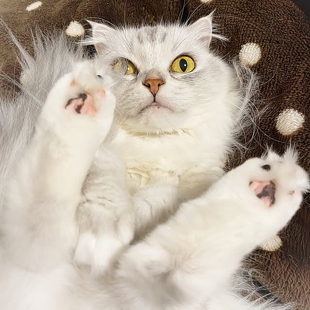luna.comさんの実例写真