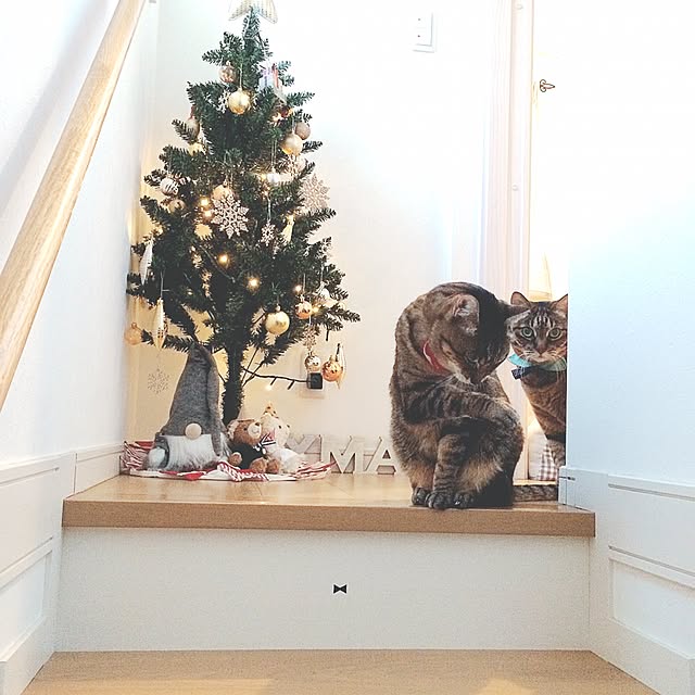 lovecatさんの実例写真