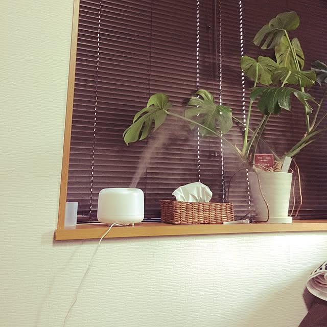 tomさんの実例写真