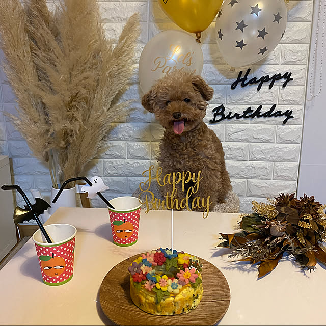 mococoさんの実例写真