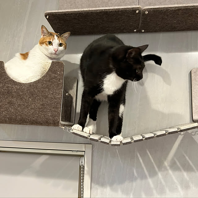 m.coccoさんの部屋