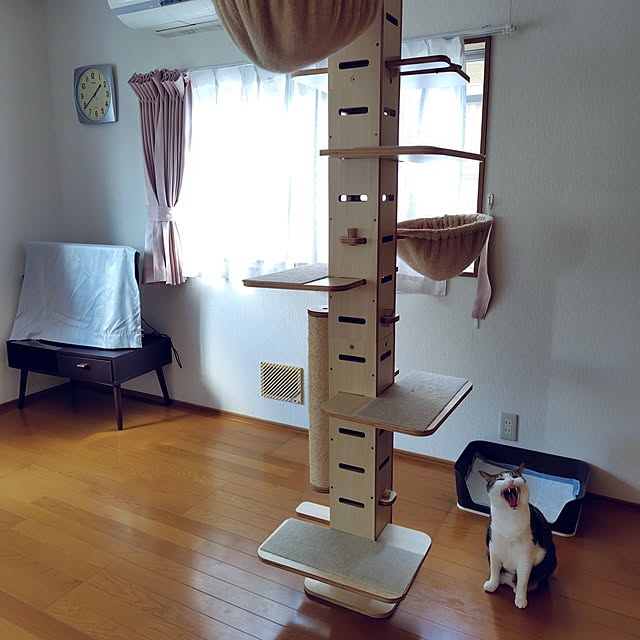 nachiさんの実例写真