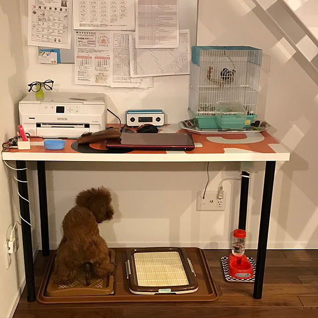 lag_1001さんの実例写真