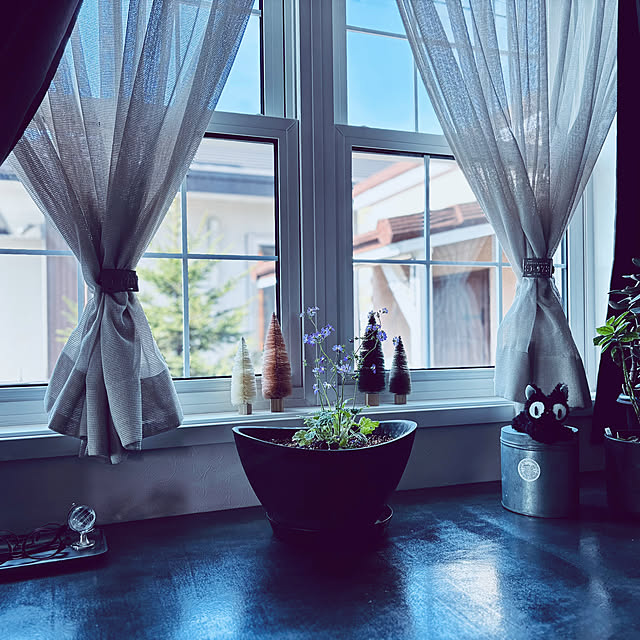 usagiさんの実例写真