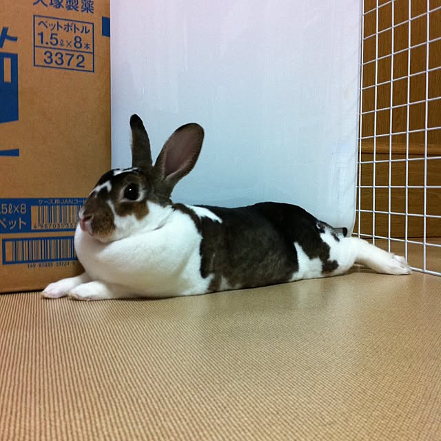 marbleさんの実例写真