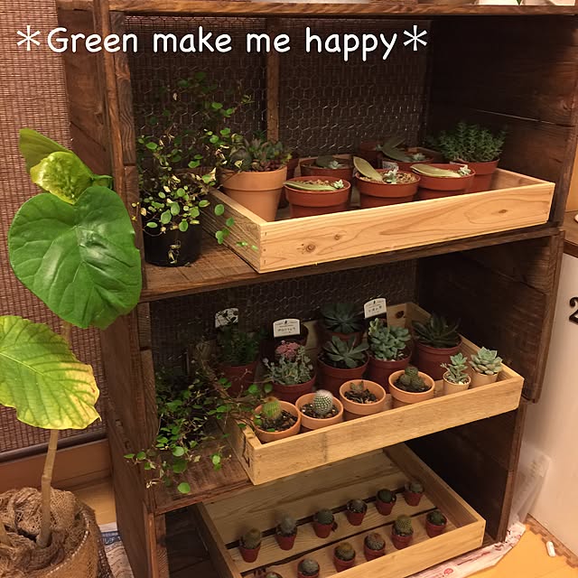 mikkoさんの実例写真