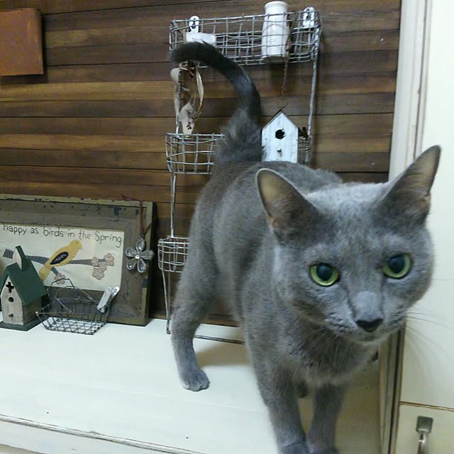 tomo1220さんの実例写真