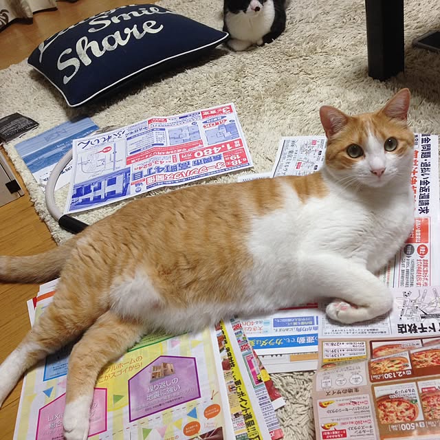 Kinanさんの実例写真