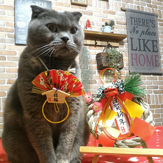 daiさんの実例写真