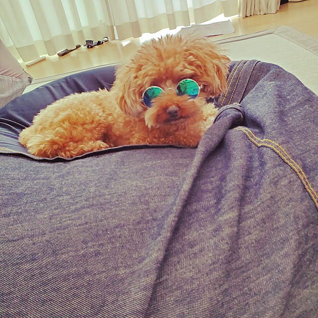 BERUさんの実例写真