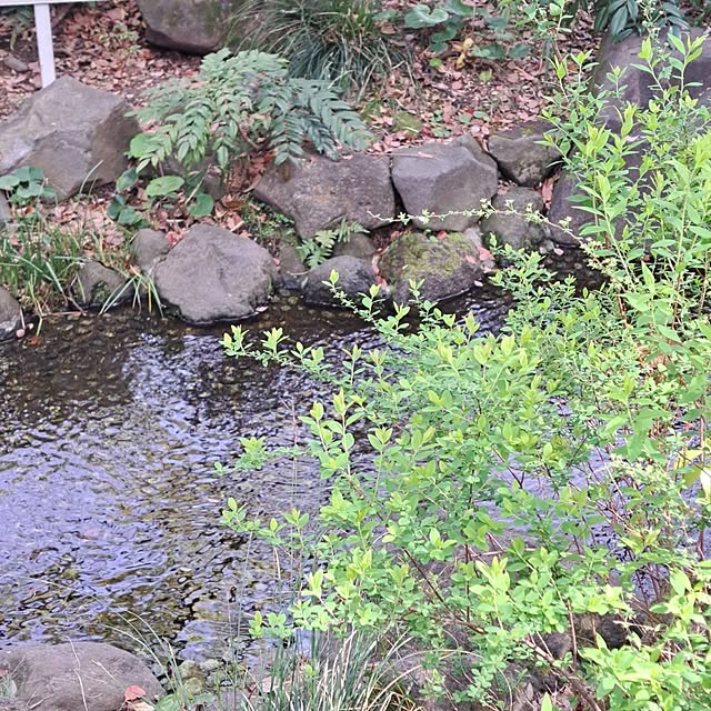 wnさんの部屋