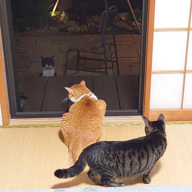 実例写真